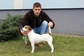 Jarosław 2016- Bright BOBY